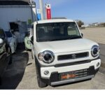 ハスラー 納車 ハスラー 納車