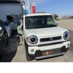 ハスラー　納車